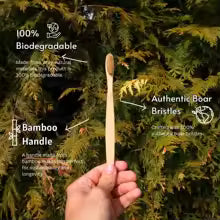 Naturlig Boar Bristle Tandborste